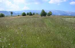 Teren 3700 mp la Moeciu