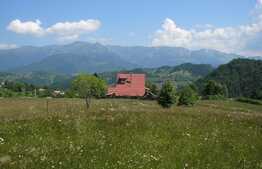 Teren 3700 mp la Moeciu