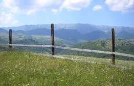 Teren 3700 mp la Moeciu