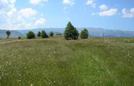 Teren 3700 mp la Moeciu