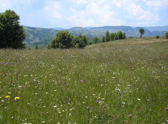 Teren de vânzare Exterior Vest - 64945TV | BLITZ Brașov | Poza4