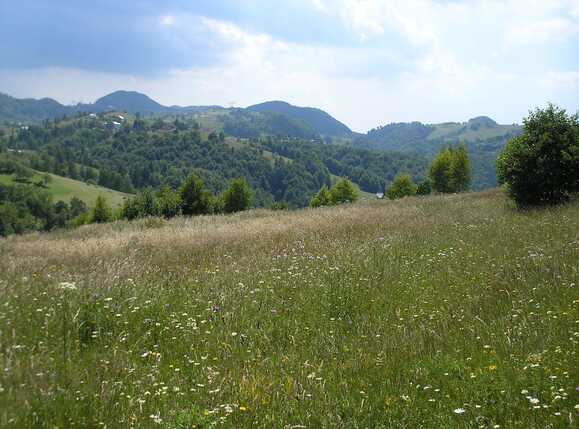 Teren de vânzare Exterior Vest - 64945TV | BLITZ Brașov | Poza2