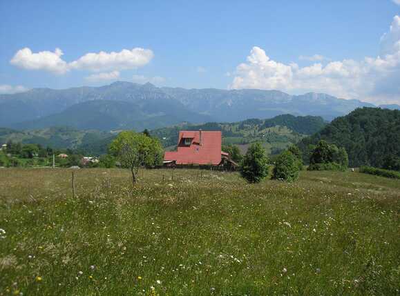 Teren de vânzare Exterior Vest - 64945TV | BLITZ Brașov | Poza1