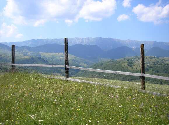 Teren de vânzare Exterior Vest - 64945TV | BLITZ Brașov | Poza5