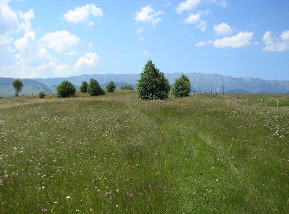 Teren de vânzare Exterior Vest - 64945TV | BLITZ Brașov | Poza3