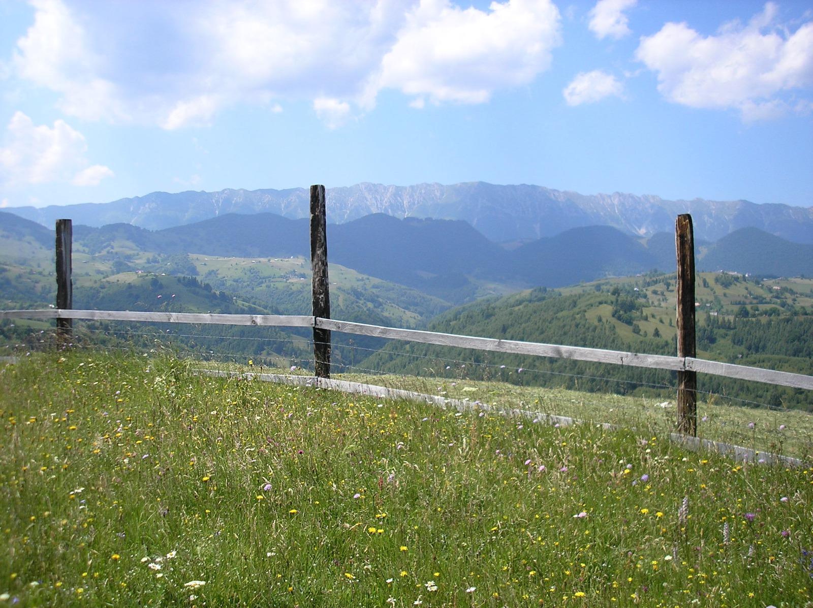 Teren de vânzare Exterior Vest - 64945TV | BLITZ Brașov | Poza5