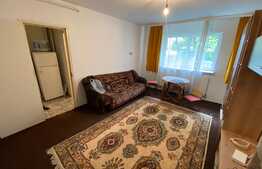 Garsoniera, 30 mp, zona Bartolomeu 