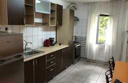 2 camere, 60 mp, parcare, zona strazii Observator, pet friendly