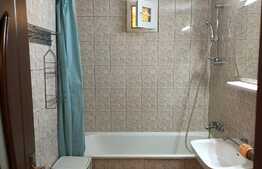 2 camere, 60 mp, parcare, zona strazii Observator, pet friendly