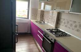 Apartament de 3 camere Zona 13 Decembrie