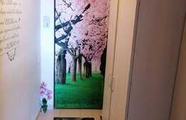 Apartament modern si cochet cu 2 camere, zona Astra