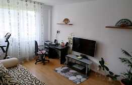 Apartament modern si cochet cu 2 camere, zona Astra
