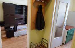 Apartament 1 camera, 40 mp, parcare subterana, zona Dambovitei