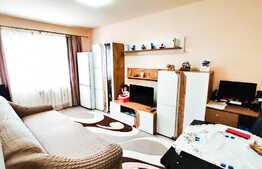 Garsoniera mobilata si utilata LUX, 21 mp, zona Fabricii de Zahar