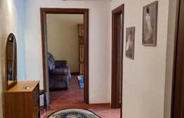 Apartament de 2 camere, zona Bulevardul Muncii