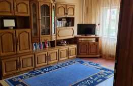 Apartament de 2 camere, zona Bulevardul Muncii