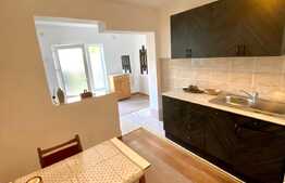 Apartament cu 1 camera la vila, 44 mp, zona UMF