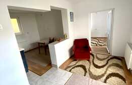 Apartament cu 1 camera la vila, 44 mp, zona UMF