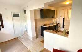 Apartament cu 1 camera la vila, 44 mp, zona UMF