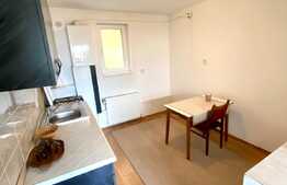 Apartament cu 1 camera la vila, 44 mp, zona UMF