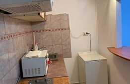 Apartament cu o cameră zona străzii Micuș