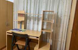 Apartament cu o cameră zona străzii Micuș