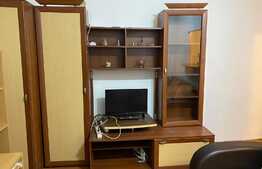 Apartament cu o cameră zona străzii Micuș