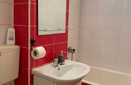 Apartament cu o cameră zona străzii Micuș