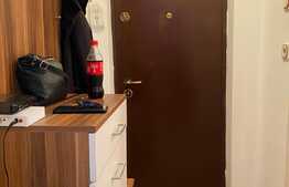 Apartament cu o cameră zona străzii Micuș