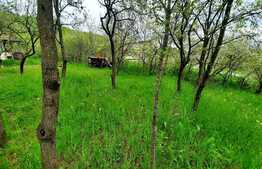 Teren intravilan 3040 mp, zona Donath