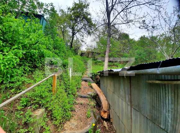 Teren de vânzare Grigorescu - 65102TV | BLITZ Cluj-Napoca | Poza6