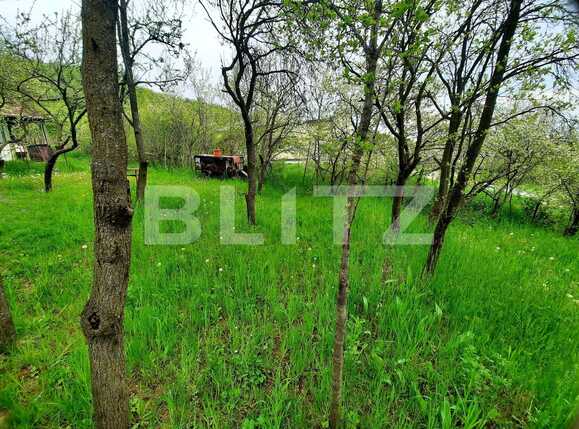 Teren de vânzare Grigorescu - 65102TV | BLITZ Cluj-Napoca | Poza3