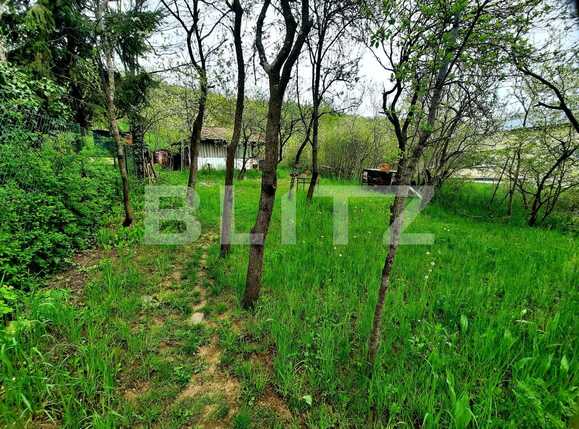 Teren de vânzare Grigorescu - 65102TV | BLITZ Cluj-Napoca | Poza1