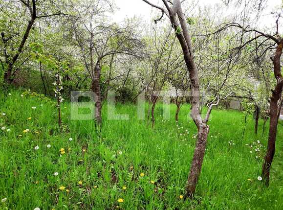 Teren de vânzare Grigorescu - 65102TV | BLITZ Cluj-Napoca | Poza4
