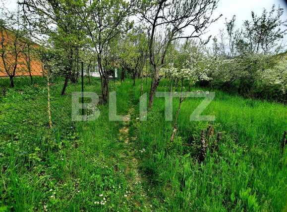 Teren de vânzare Grigorescu - 65102TV | BLITZ Cluj-Napoca | Poza2