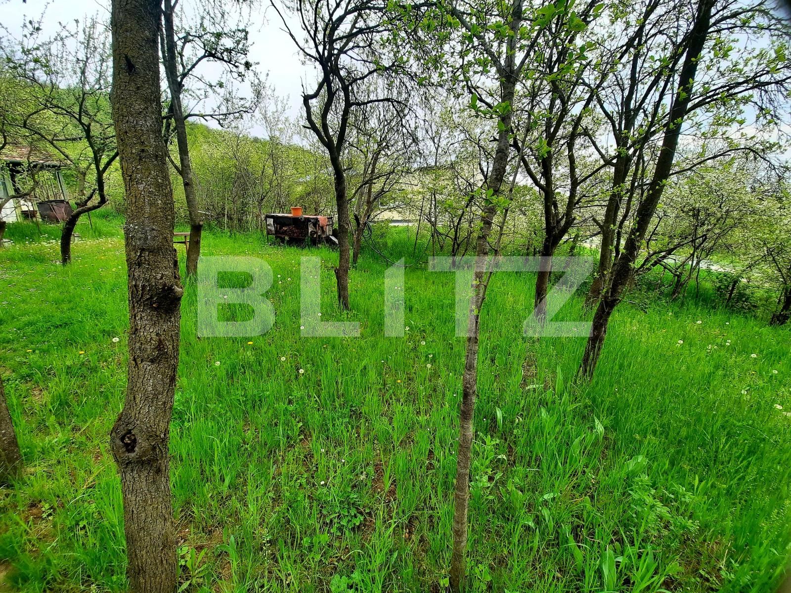 Teren de vânzare Grigorescu - 65102TV | BLITZ Cluj-Napoca | Poza3