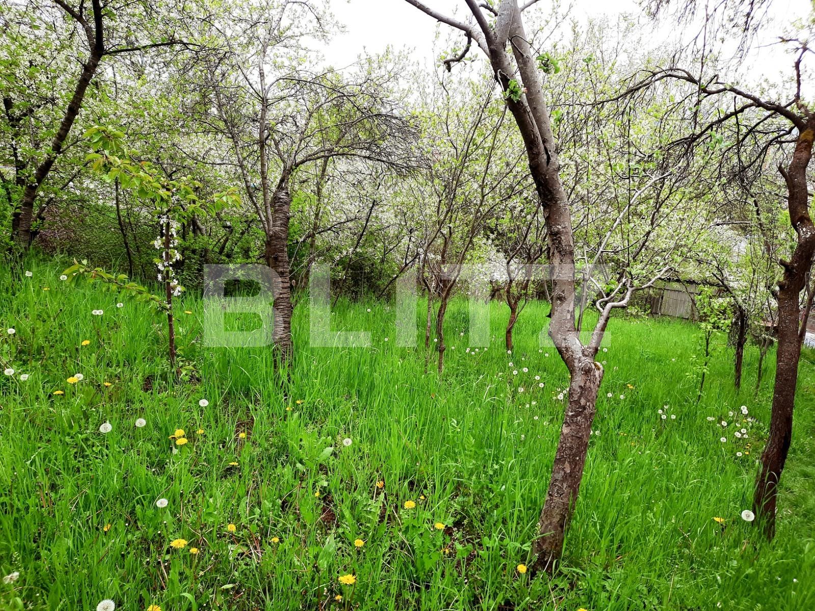 Teren de vânzare Grigorescu - 65102TV | BLITZ Cluj-Napoca | Poza4