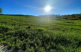 Teren intravilan 1382 mp, ideal investitie