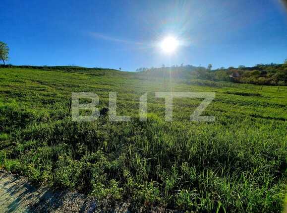 Teren de vânzare Sopor - 65105TV | BLITZ Cluj-Napoca | Poza8