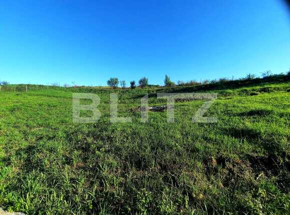 Teren de vânzare Sopor - 65105TV | BLITZ Cluj-Napoca | Poza9