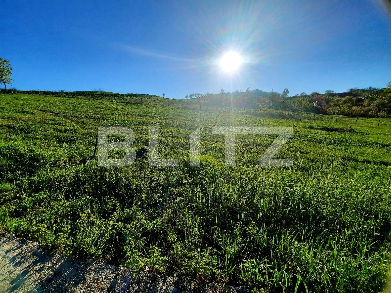 Teren de vânzare Sopor - 65105TV | BLITZ Cluj-Napoca | Poza8