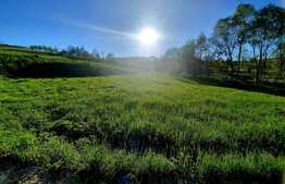 Teren intravilan 1292 mp, situat in cartierul Sopor,cu PUZ in lucru,in zona de case