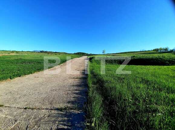 Teren de vânzare Sopor - 65106TV | BLITZ Cluj-Napoca | Poza3