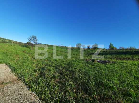 Teren de vânzare Sopor - 65106TV | BLITZ Cluj-Napoca | Poza4