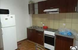 Apartament cu 2 camere, 52 mp plus 22 mp TERASA, zona Porii