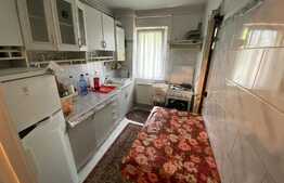 Apartament de 2 camere, Zona Gemenii 