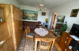 Apartament de 2 camere, Zona Gemenii 