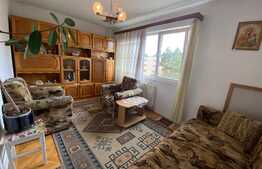 Apartament de 2 camere, Zona Gemenii 