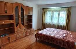 Apartament spatios, 1 camera, 40 mp, zona Izlazului