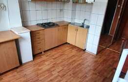 Apartament spatios, 1 camera, 40 mp, zona Izlazului